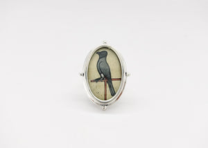 Sophisticated, subtle, and serene, Koel (bird) ring - Lai